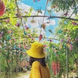 Nguy&ecirc;n