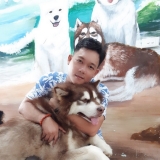 L. M. Hai