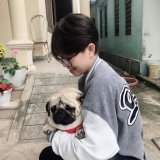 L. T. Q. Như