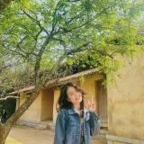 N. Nguyễn