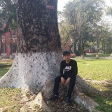 V. Bui