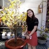 T. T. Hằng