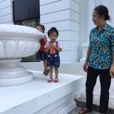 N. T. T&acirc;n