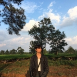 N. T. Q. Linh