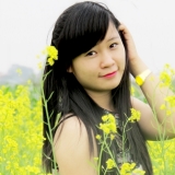 N. T. L. Anh