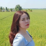 M. Nguyễn