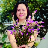 M. P. Th&uacute;y