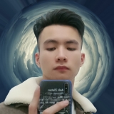 N. D. Anh