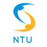 N. Developer