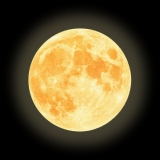 L. L. Định