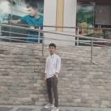 Q. N. Tấn