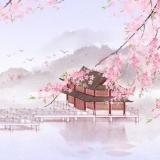 N. N. Tuyết