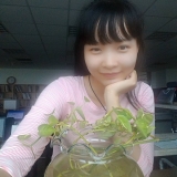 H. Trần