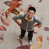 N. P. Linh
