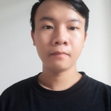L. P. Nguy&ecirc;n