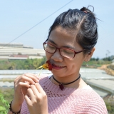 H. Quynh