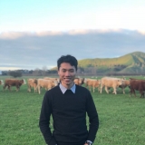 P. Văn
