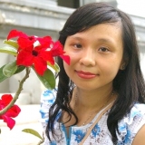 M. T. Nguyen