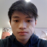 H. Nguyen