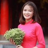 H. T. Đặng