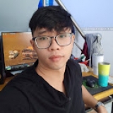 H. Nguyen