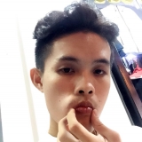 H. N. Anh
