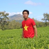 K. P. Hữu