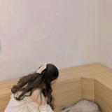 P. Linh