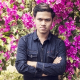 P. M. Vang