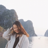 N. T. Nguyễn