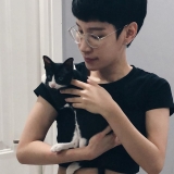 Y. Vu