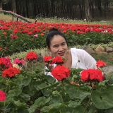 P. T. T. Huyen