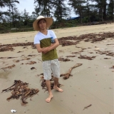 H. X. Hiếu