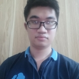 N. N. T. Anh