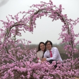L. V. Anh