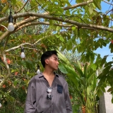 L. Q. Cuong