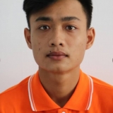 H. Nguyen