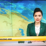 Đ. P. Anh