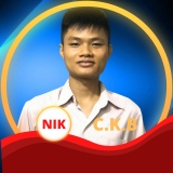 T. Vu