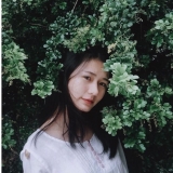 N. Nguyet
