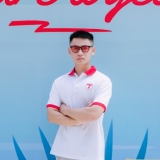 T. N. Anh
