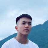 L. T. Anh