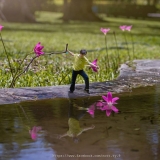 M. Trinh