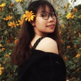 V. V. Anh