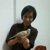 D. Ngọc