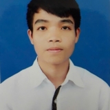 N. N. Son
