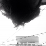 Canhphan