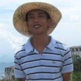 G. Linh
