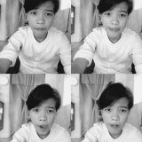 D. Thư