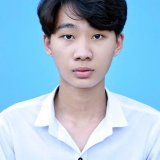 N. L. Nguyễn